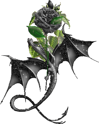 black dragon curled around a rose