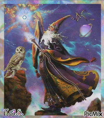 wizard casting spells with an owl